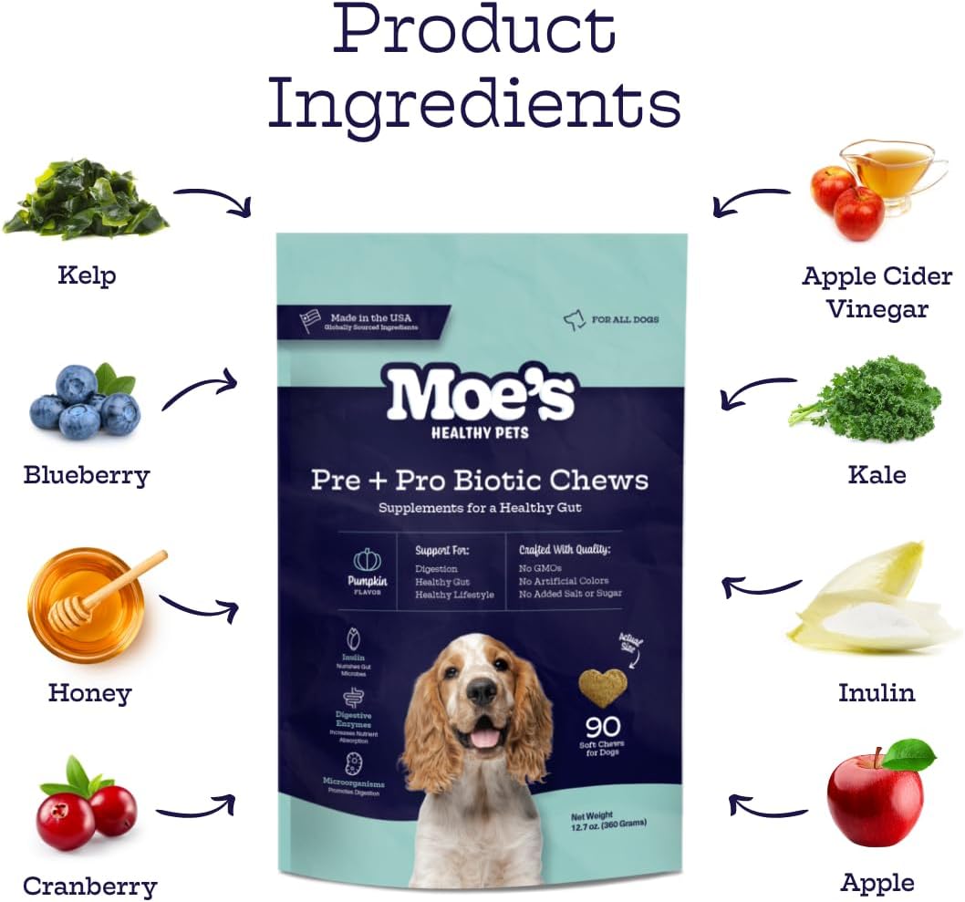 Moe's Probiotic Chews for Dogs 90ct – Pumpkin Flavour Prebiotics & Probiotics for Gut Health, Digestion, Immunity and Itchy Skin Relief - görsel 4