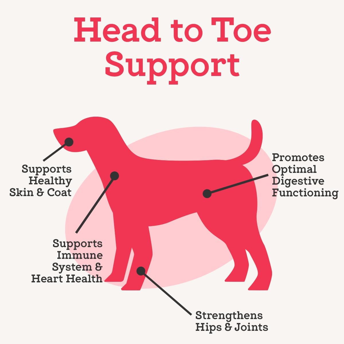 Dr. Joseph's VetPro Complete Multivitamin Dog Supplement for Small Dogs (60 Chews) - görsel 4