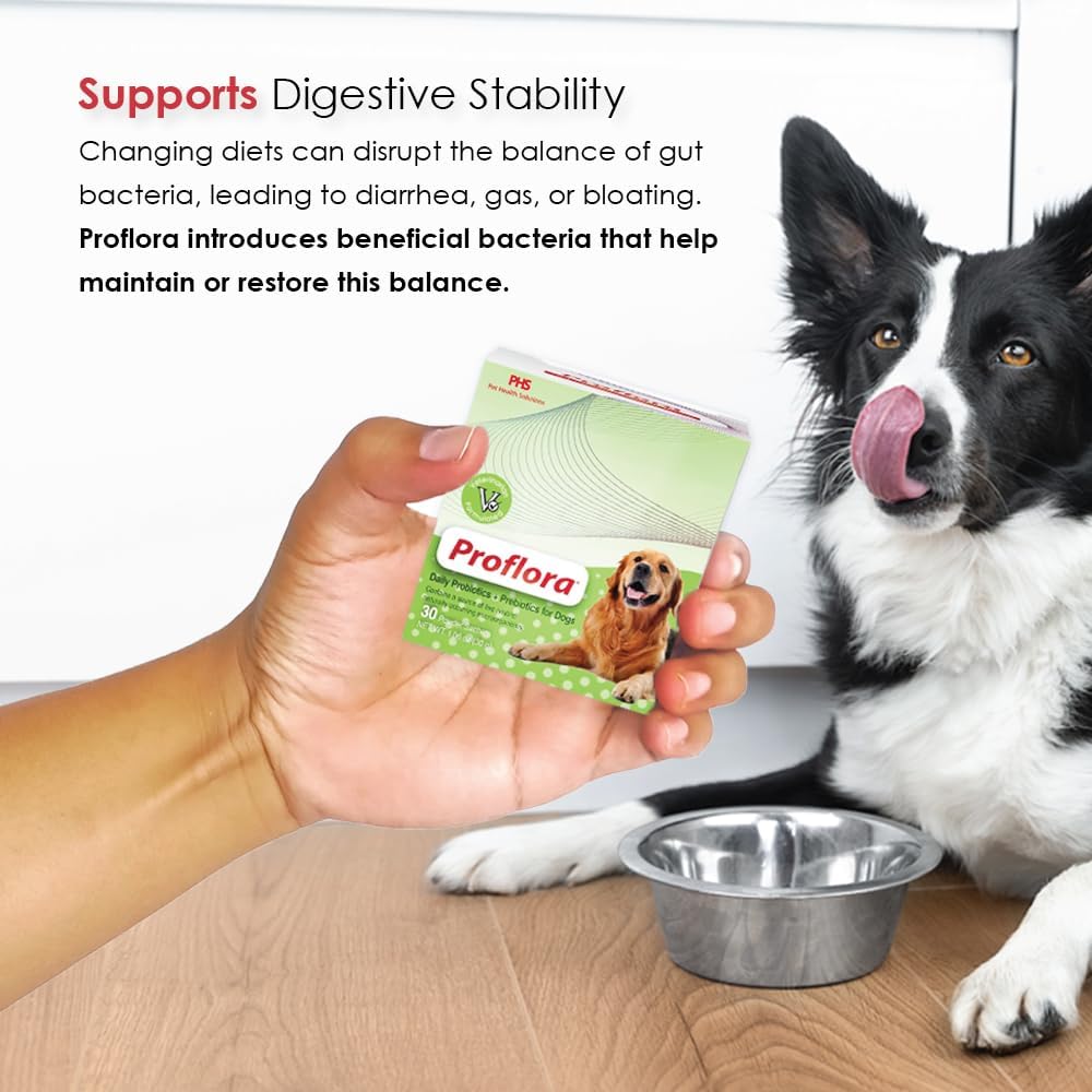Daily Probiotics and Prebiotics for Dogs, Supports Digestive Health and Immune System, 30 Powder Sachets, 30g (1-Pack) - görsel 7