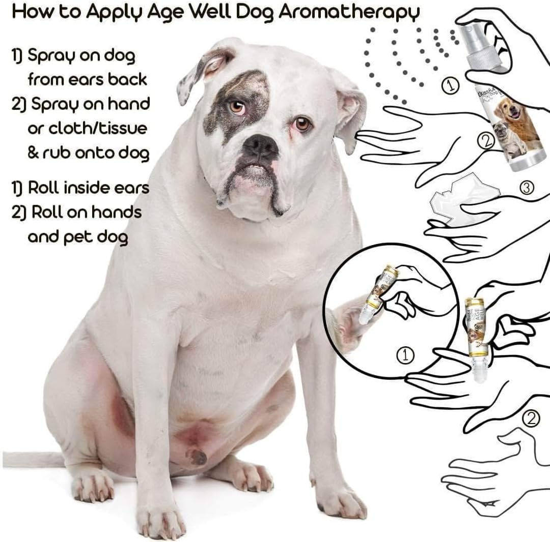 The Blissful Dog American Bulldog Age Well Dog Aromatherapy - görsel 4