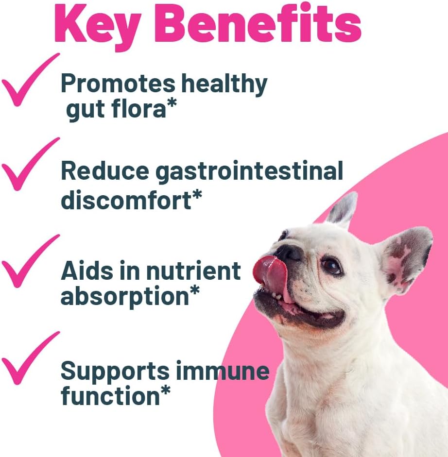 Probiotic + Prebiotic Powder for Dogs – 7 Probiotic Strains with FOS, 5 Billion CFU - görsel 2