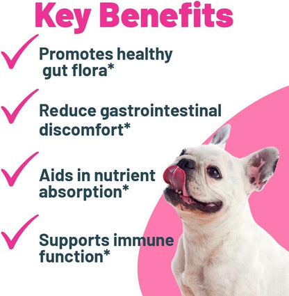Probiotic + Prebiotic Powder for Dogs – 7 Probiotic Strains with FOS, 5 Billion CFU