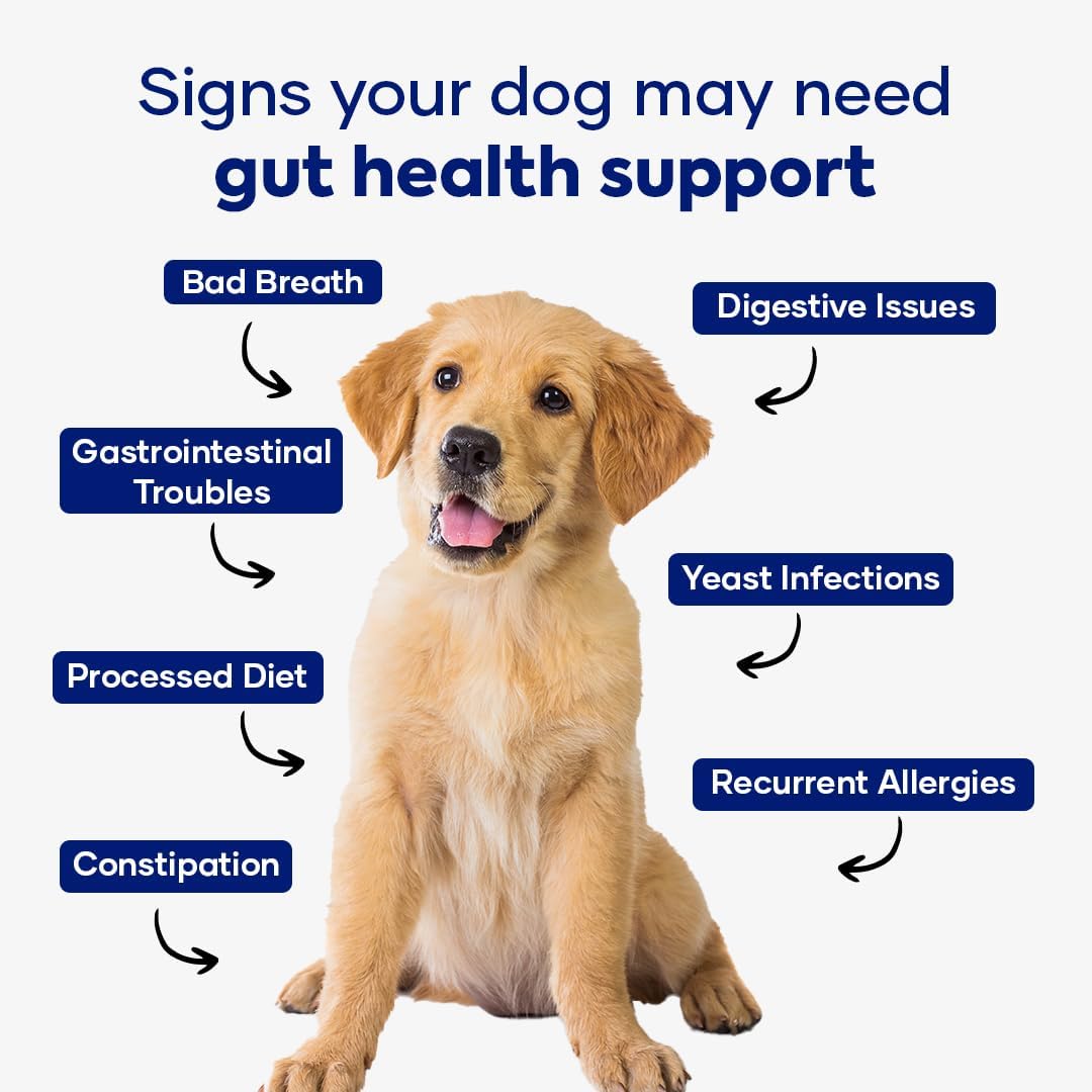 Aniwell Probiotics for Dogs – Dog Chews for Gut Health, Digestive Health & Seasonal Allergies - görsel 4