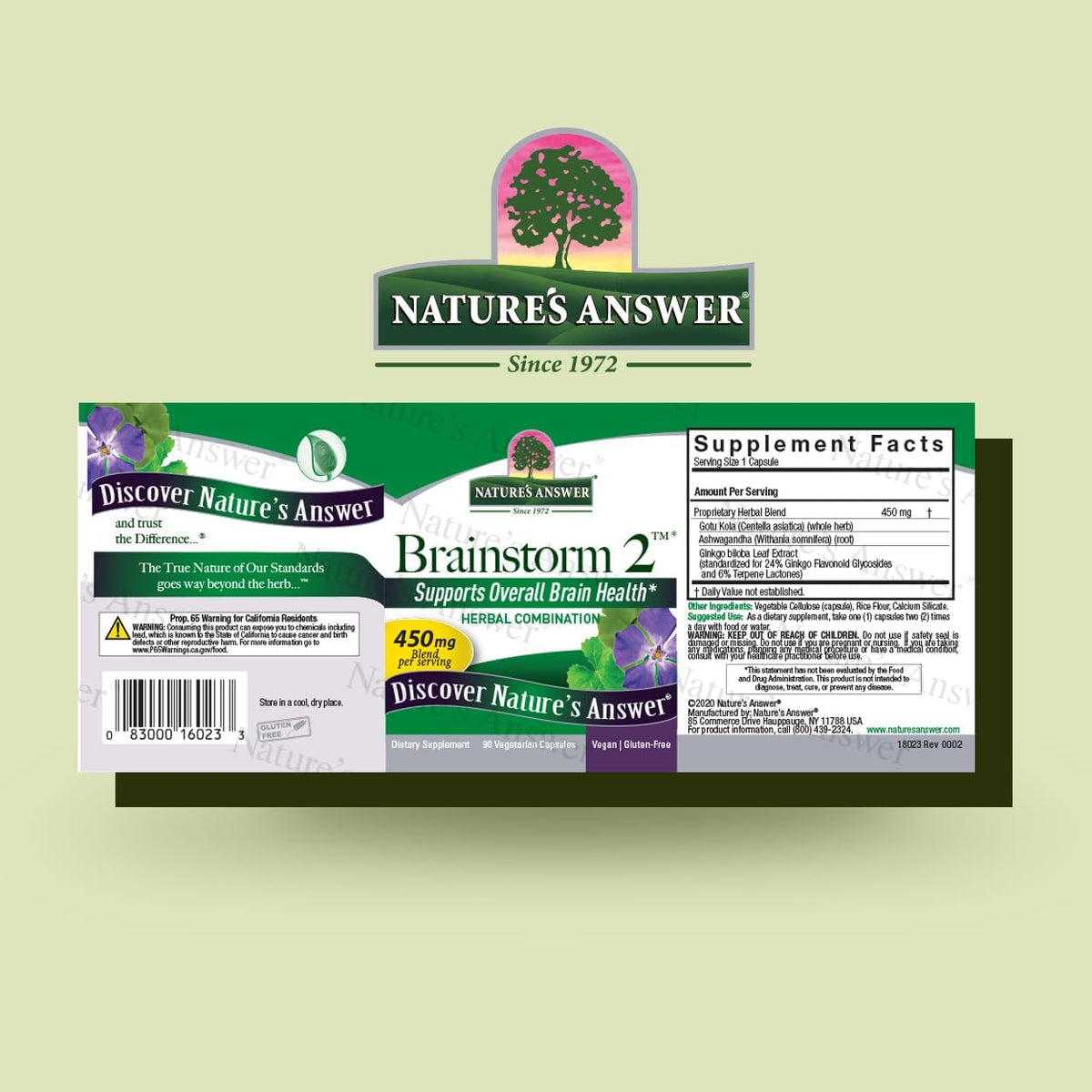 Nature's Answer Brainstorm 2 Vegetarian Capsules, 90 Capsules - görsel 2