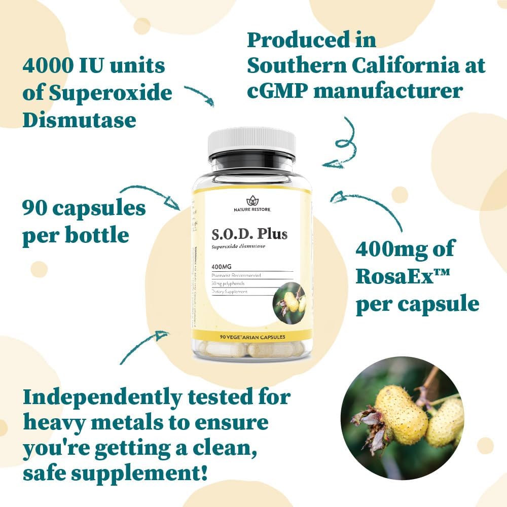 Superoxide Dismutase (SOD) Supplement - High SOD-Like Activity Enzyme, Vegan, 90 Capsules - görsel 5