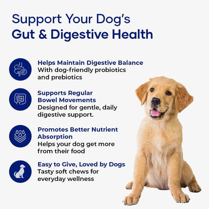 Aniwell Probiotics for Dogs – Dog Chews for Gut Health, Digestive Health & Seasonal Allergies