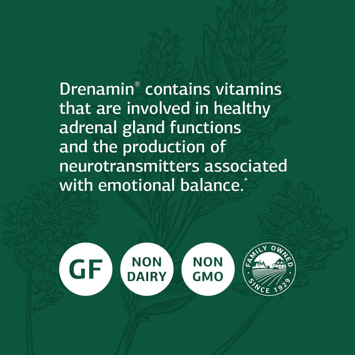 Standard Process Drenamin - Supports Adrenal Gland, Immune System, Energy & Mood - 360 Tablets - görsel 3