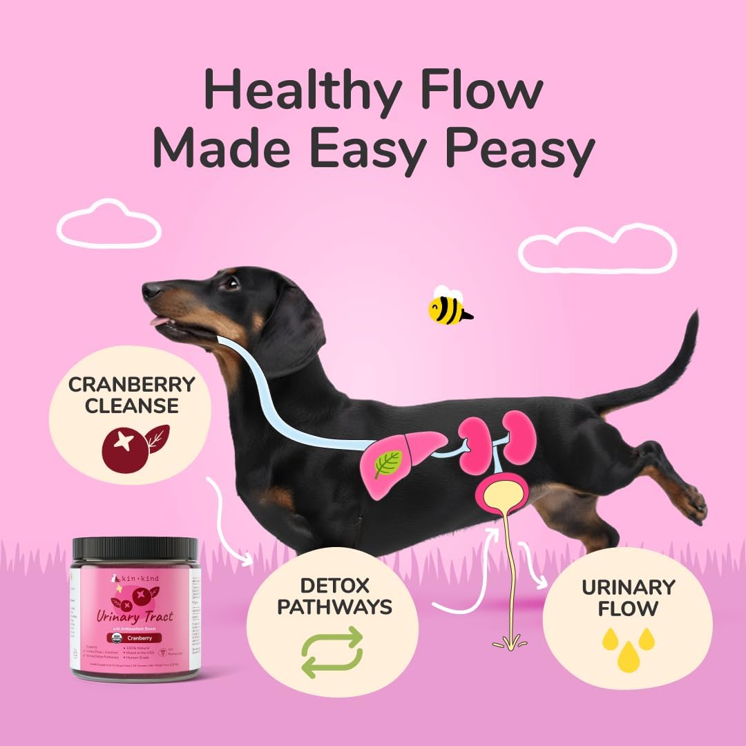 kin+kind Urinary Tract Support Supplement for Dogs and Cats – Organic, Vet-Formulated, 3x8 oz - görsel 2
