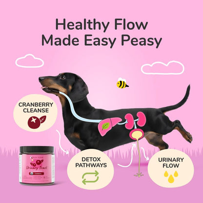 kin+kind Urinary Tract Support Supplement for Dogs and Cats – Organic, Vet-Formulated, 3x8 oz