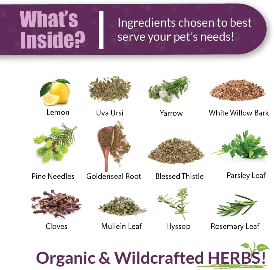 Amber NaturalZ Kidney Rejuvenator Herbal Supplement for Pets – 4 fl oz - görsel 3