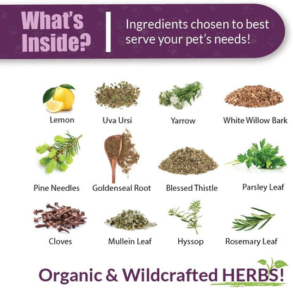 Amber NaturalZ Kidney Rejuvenator Herbal Supplement for Pets – 4 fl oz