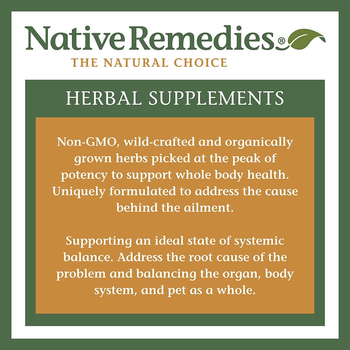 Native Remedies Inflam Dr. – All Natural Herbal Supplement for Healthy Inflammation Response (60 Veg Capsules) - görsel 6