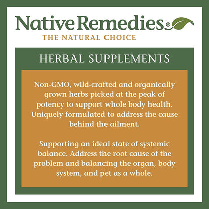 Native Remedies Inflam Dr. – All Natural Herbal Supplement for Healthy Inflammation Response (60 Veg Capsules)