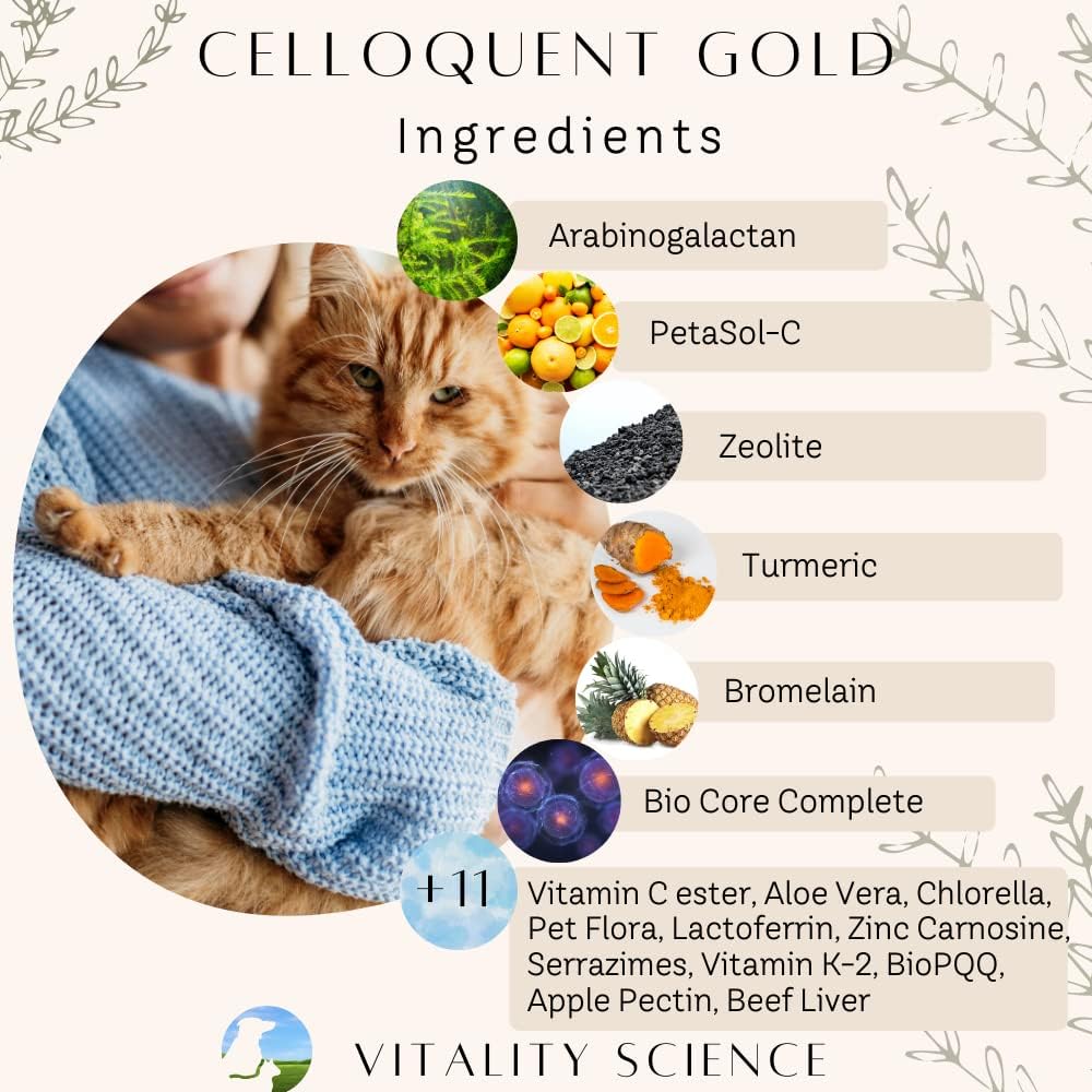 Vitality Science Celloquent Gold for Dogs | Holistic Advanced Immune Support Supplement | 17 Proven Ingredients | Autoimmune, Vomiting and Diarrhoea, Lethargy | 60g - görsel 4