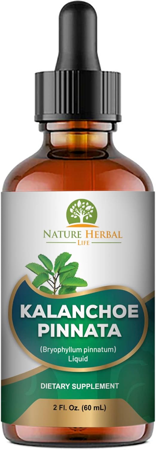 Kalanchoe Pinnata (Bryophyllum Pinnatum) Glycerite, Dried Leaf and Stem Liquid Extract. Herbal Supplement, Antioxidants. 1 Bottle, 2 fl oz (60 ml) - görsel 3