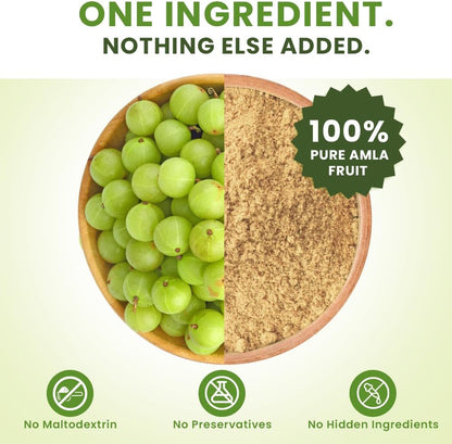 bixa BOTANICAL Amla Powder (Emblica officinalis) - 454 g (1 lb)