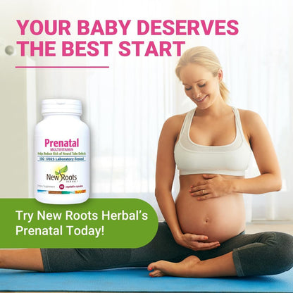 New Roots Herbal Prenatal Multivitamin, 90 Capsules