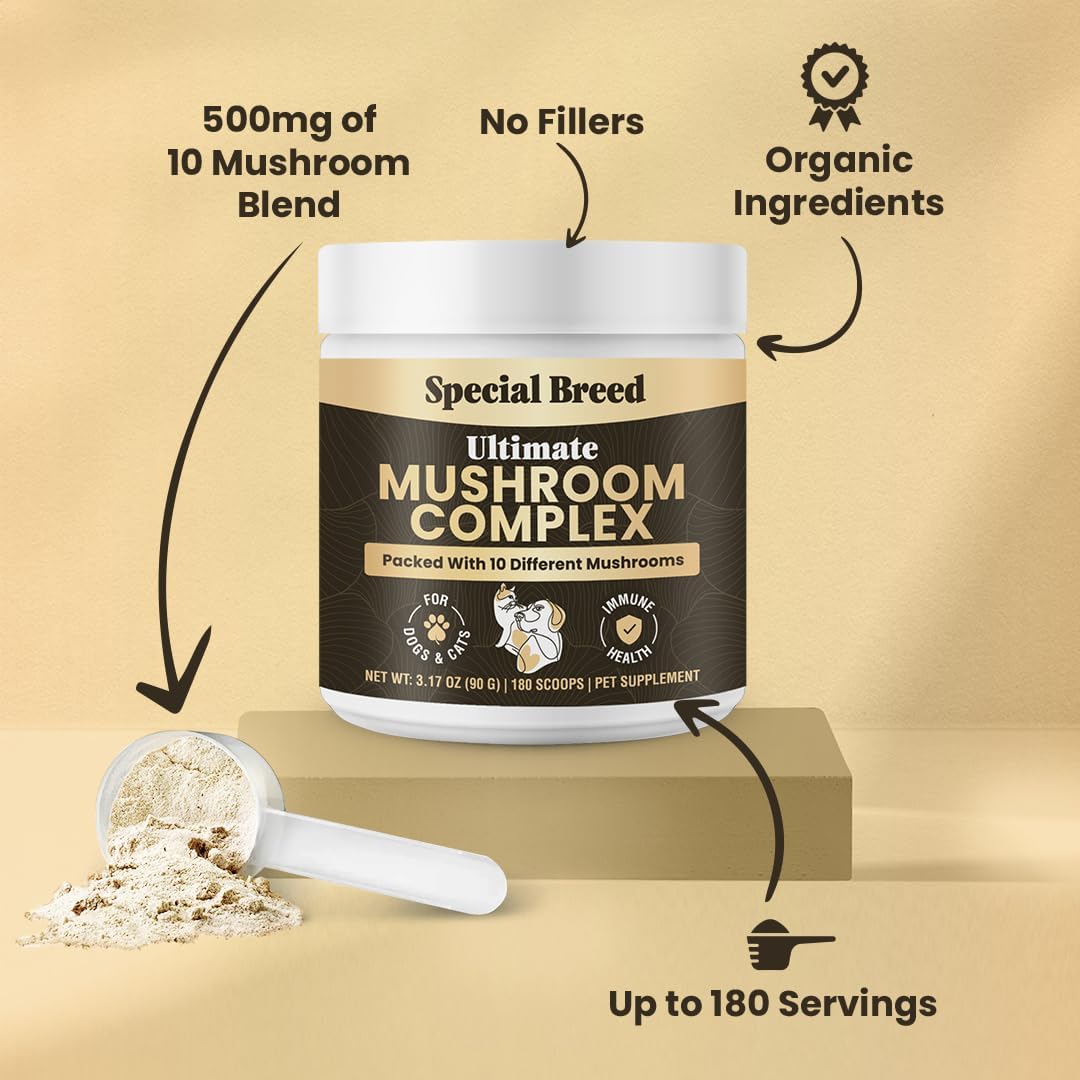 Organic Mushroom Powder for Dogs and Cats - Organic Mushroom Complex for Immune Support, Cognition and Vitality - 180 Scoops - görsel 5