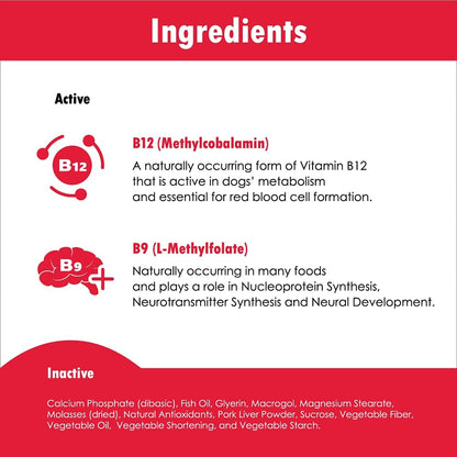 CobalaVet Vitamin B12 & B9 for Small Dogs & Cats – Supports Nervous System, Brain Function, Immune Defences & Cell Growth – Blood Cell Formation – Metabolic Pathway – 60 ml Liquid