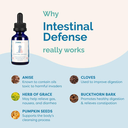 Intestinal Defence Supplement for Dogs & Cats | Herbal Formula for Digestive Health | 2-Pack