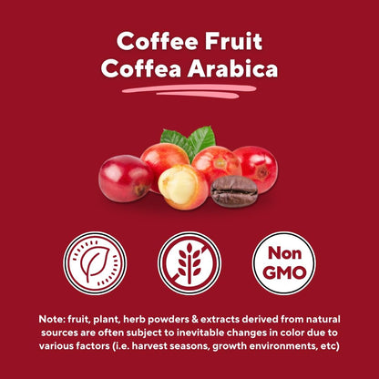 Vitacoffee Coffee Fruit Powder for Alertness, Concentration, and Antioxidant Support – 100g (33-Day Supply) – Non-GM, Gluten-Free, Vegan