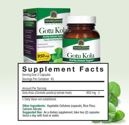 Nature's Answer Gotu Kola Herbal Vegetarian Capsules, 90 Capsules