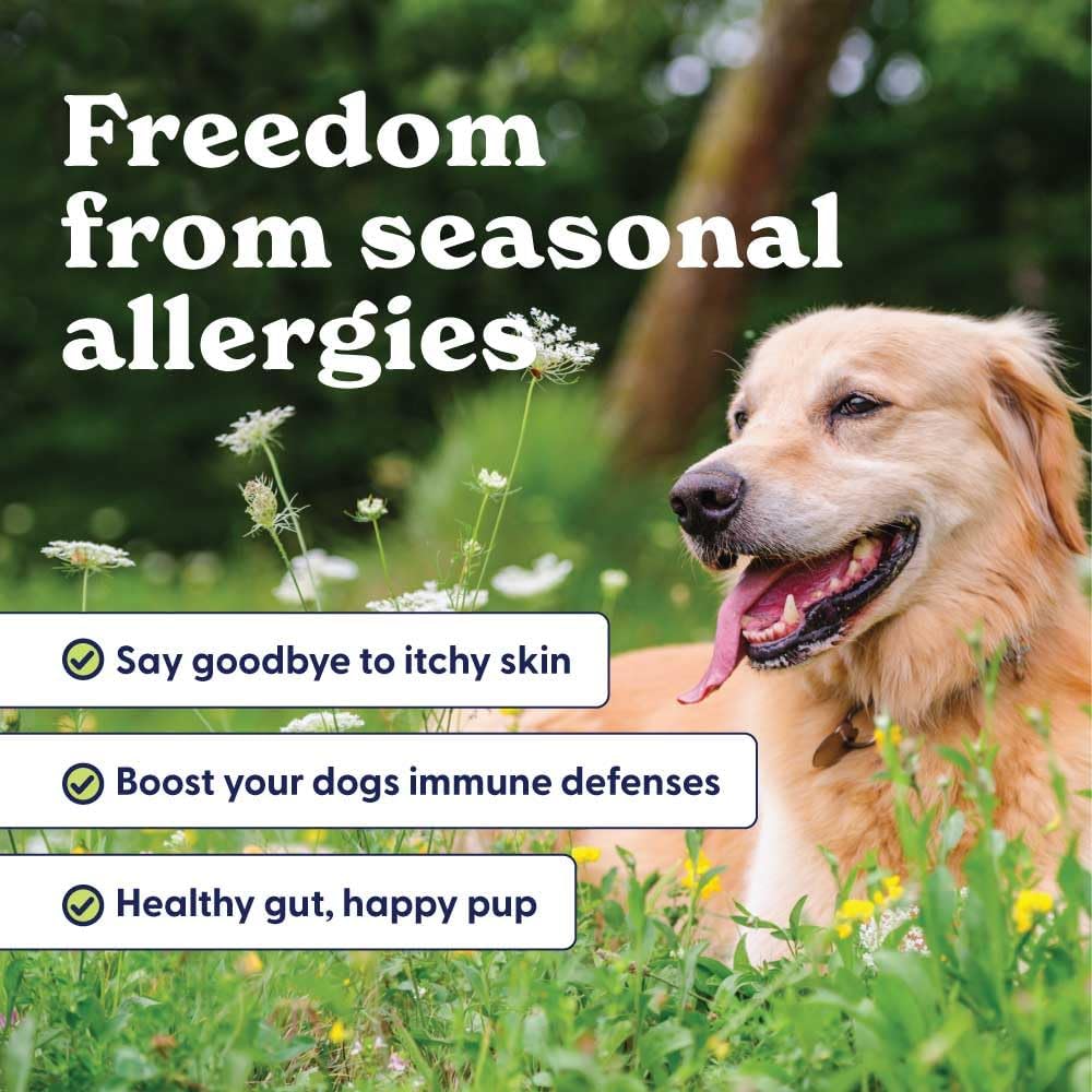 Origin Labs Allergy and Immune Support Supplements for Dogs - Omega-3 Fish Oil, Bee Pollen, Colostrum, Probiotics & Prebiotics - Turkey Flavour, 90 Soft Chews - görsel 2