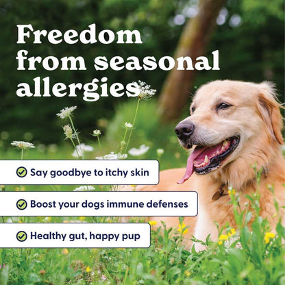 Origin Labs Allergy and Immune Support Supplements for Dogs - Omega-3 Fish Oil, Bee Pollen, Colostrum, Probiotics & Prebiotics - Turkey Flavour, 90 Soft Chews