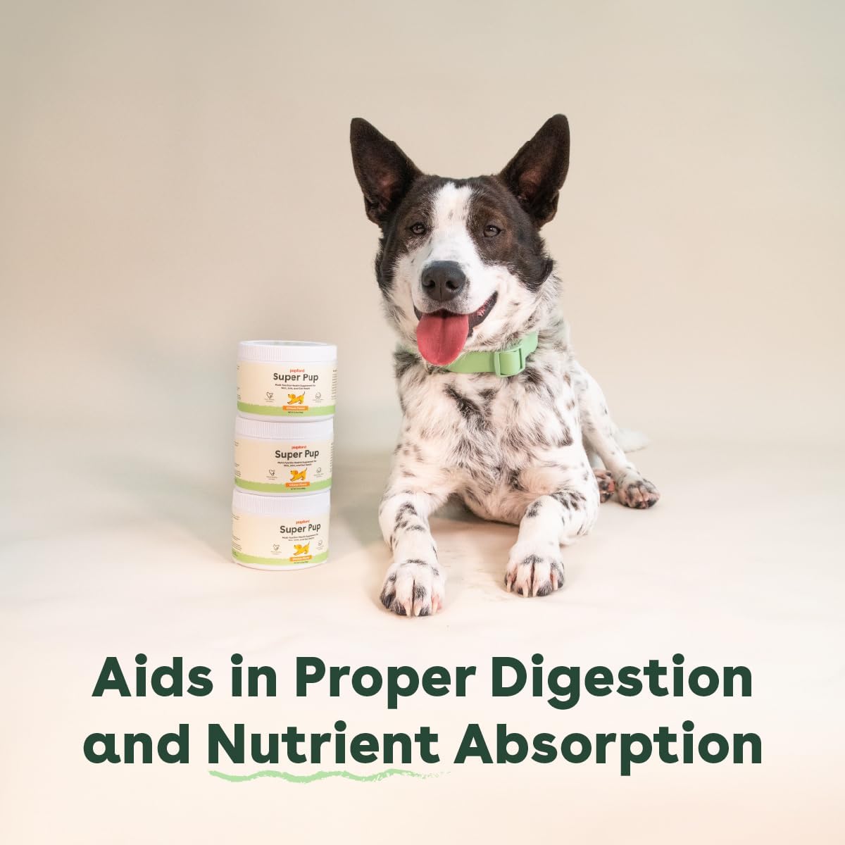 Pupford Super Pup 3-in-1 Daily Supplement for Dogs – Chicken Flavour (60g) - görsel 2