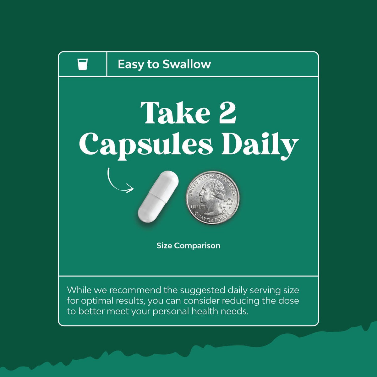 High Strength Lactoferrin & Monolaurin Supplement - 60 Vegetarian Capsules - görsel 6