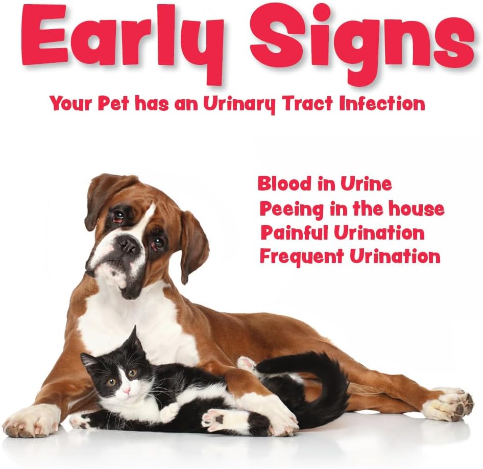 Denestra Cranberry D Mannose MAX - Granules for Dog Urinary Tract Health - 90 Doses - görsel 5