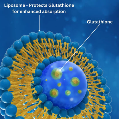 Advanced Bionetix 850mg Liposomal Glutathione Supplement – 60 Softgels