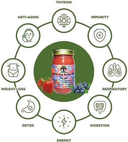 Wildcrafted Irish Sea Moss Gel – Mixed Berry (454g)