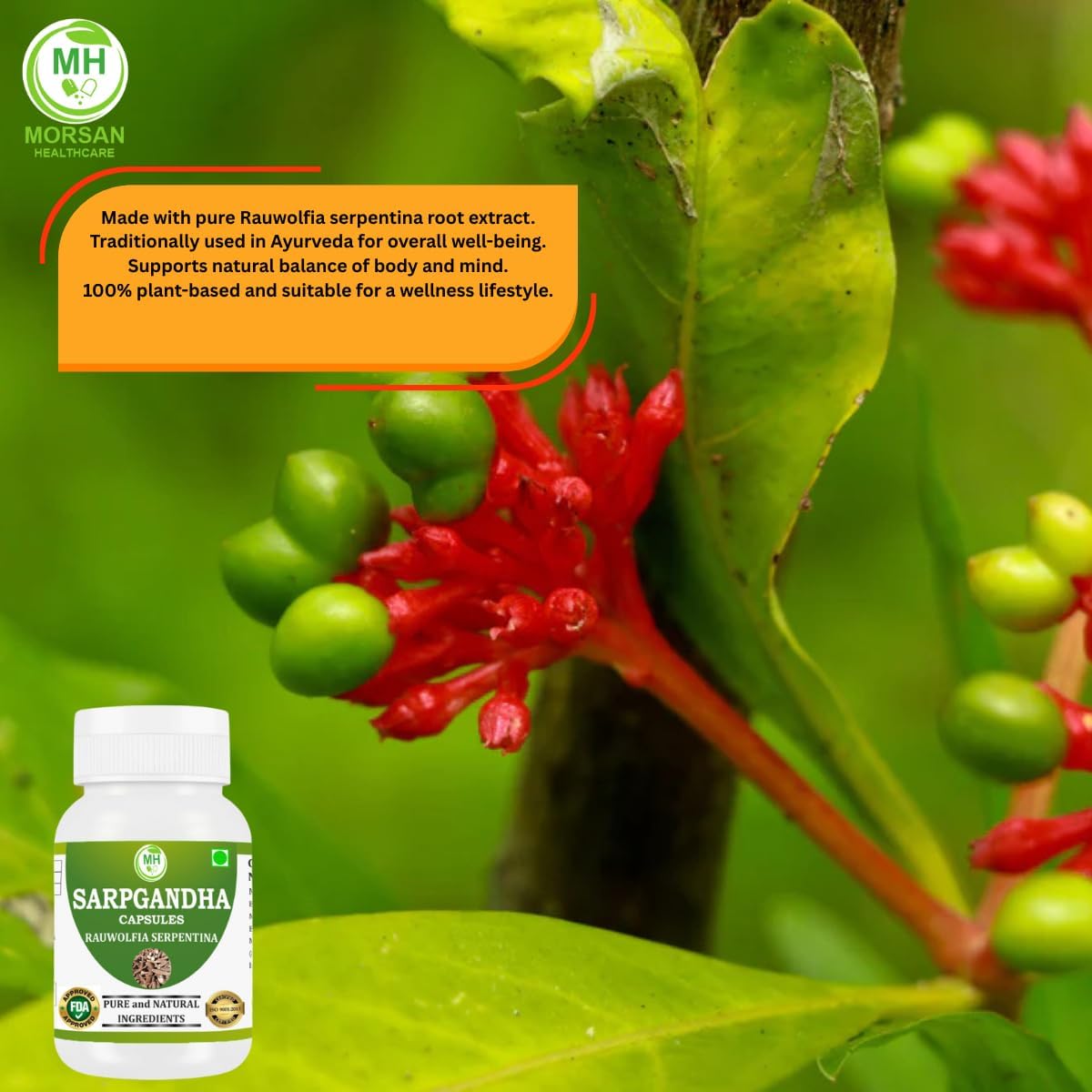 Rauwolfia Serpentina (Sarpgandha) Capsules - 240 Veg Capsules Value Pack - görsel 4