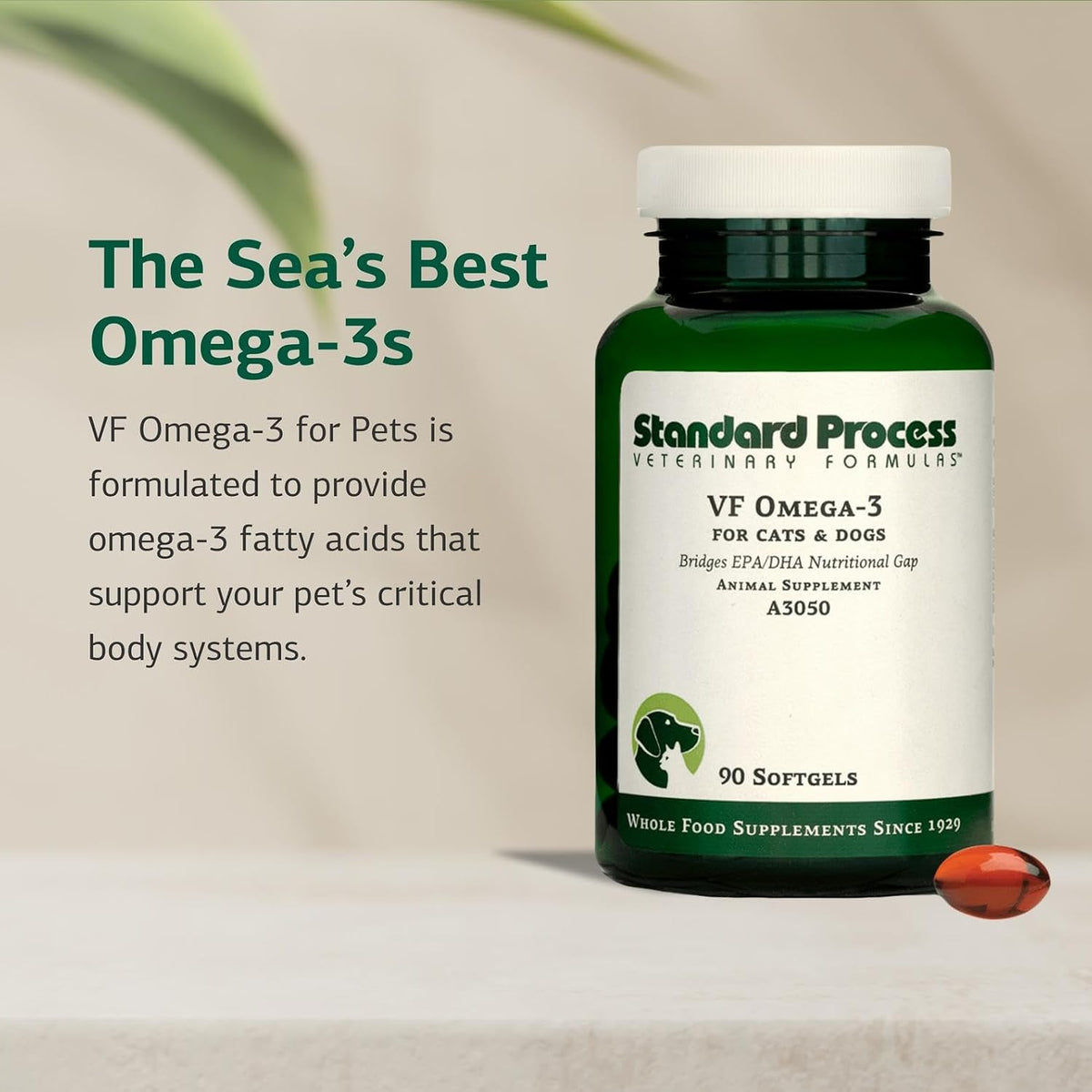 Standard Process VF Omega-3 for Pets – Dietary Supplement with Omega-3 Fatty Acids – Supports Bone Growth, Immune Health, Heart Health – Fish Oil Supplement for Pets – 90 Softgels - görsel 3