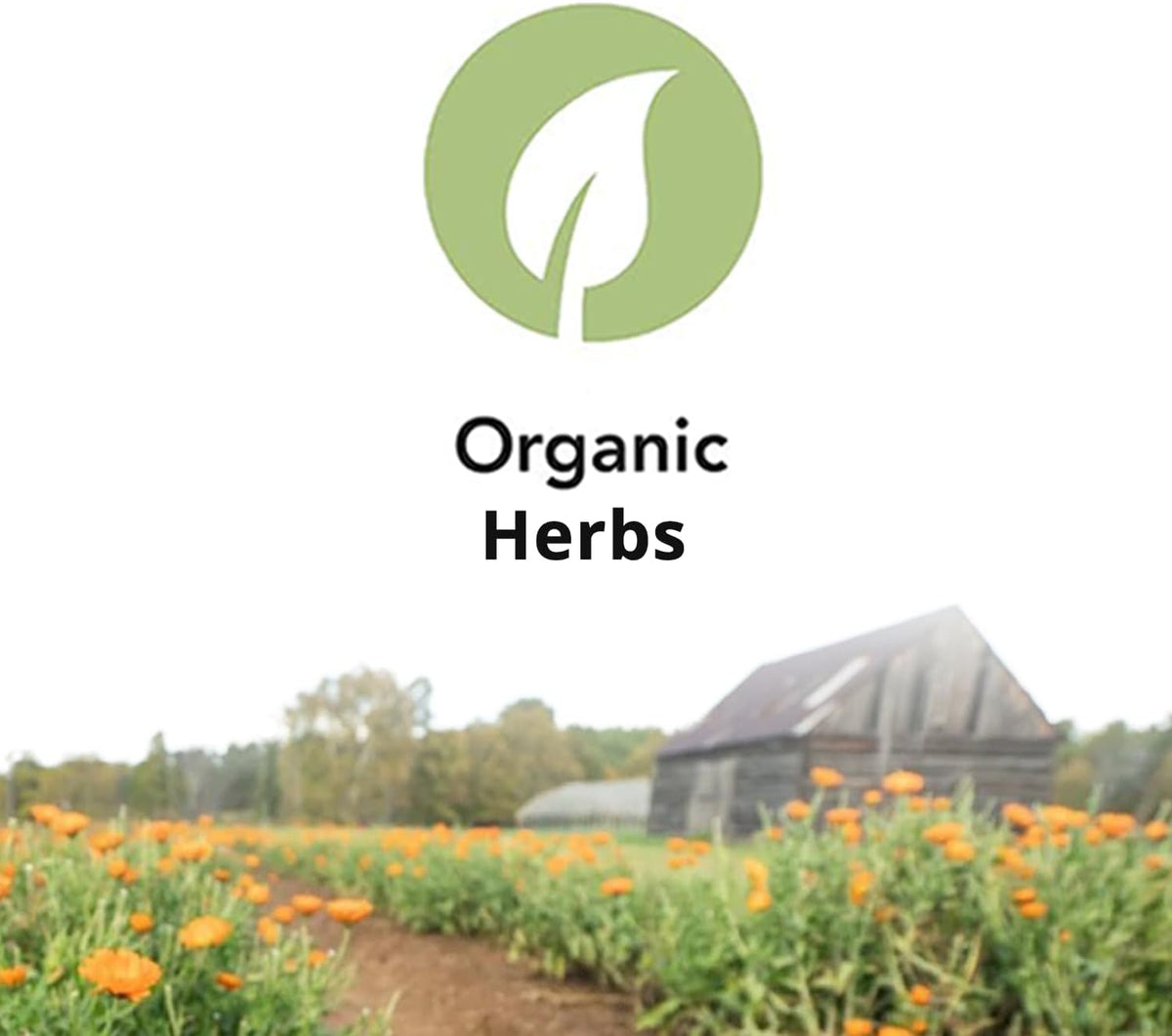 St. Francis Herb Farm Deep Immune® - 90 Capsules - görsel 7