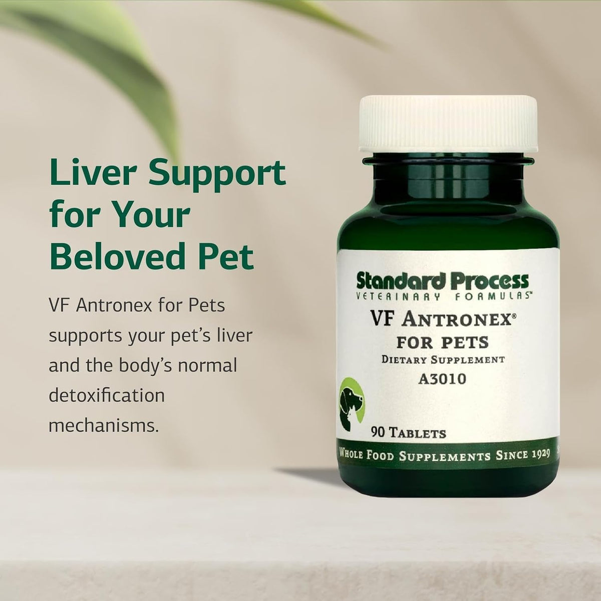 Standard Process VF Antronex for Pets - Hepatic Support for Dogs and Cats (90 Tablets) - görsel 3