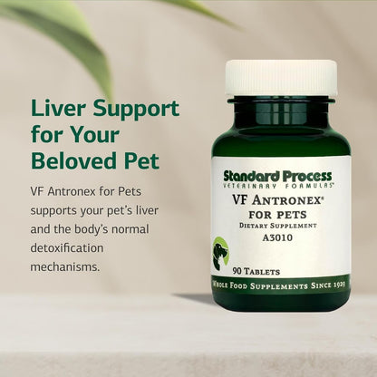 Standard Process VF Antronex for Pets - Hepatic Support for Dogs and Cats (90 Tablets)
