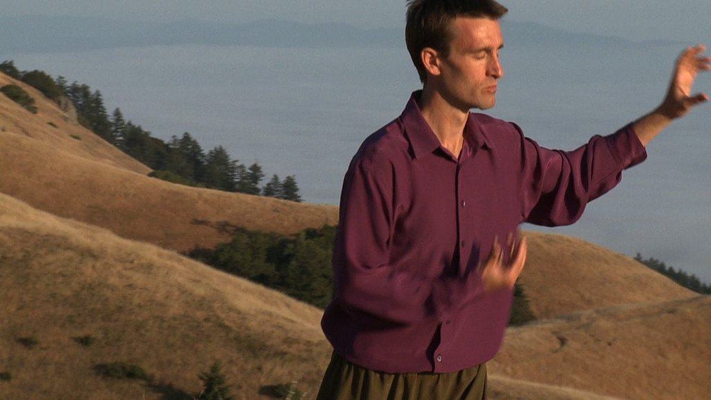 Tai Chi and Qi Gong for Everyone DVD with Christopher Anderl (2012) - görsel 2