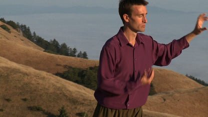 Tai Chi and Qi Gong for Everyone DVD with Christopher Anderl (2012)