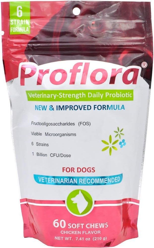 Proflora Probiotics for Dogs - Complete Gut Health & Immune Support - 60 Soft Chews - görsel 1