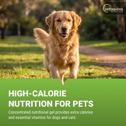 Vetoquinol Nutri-Cal - High-Calorie Nutritional Gel for Dogs and Cats - 120g
