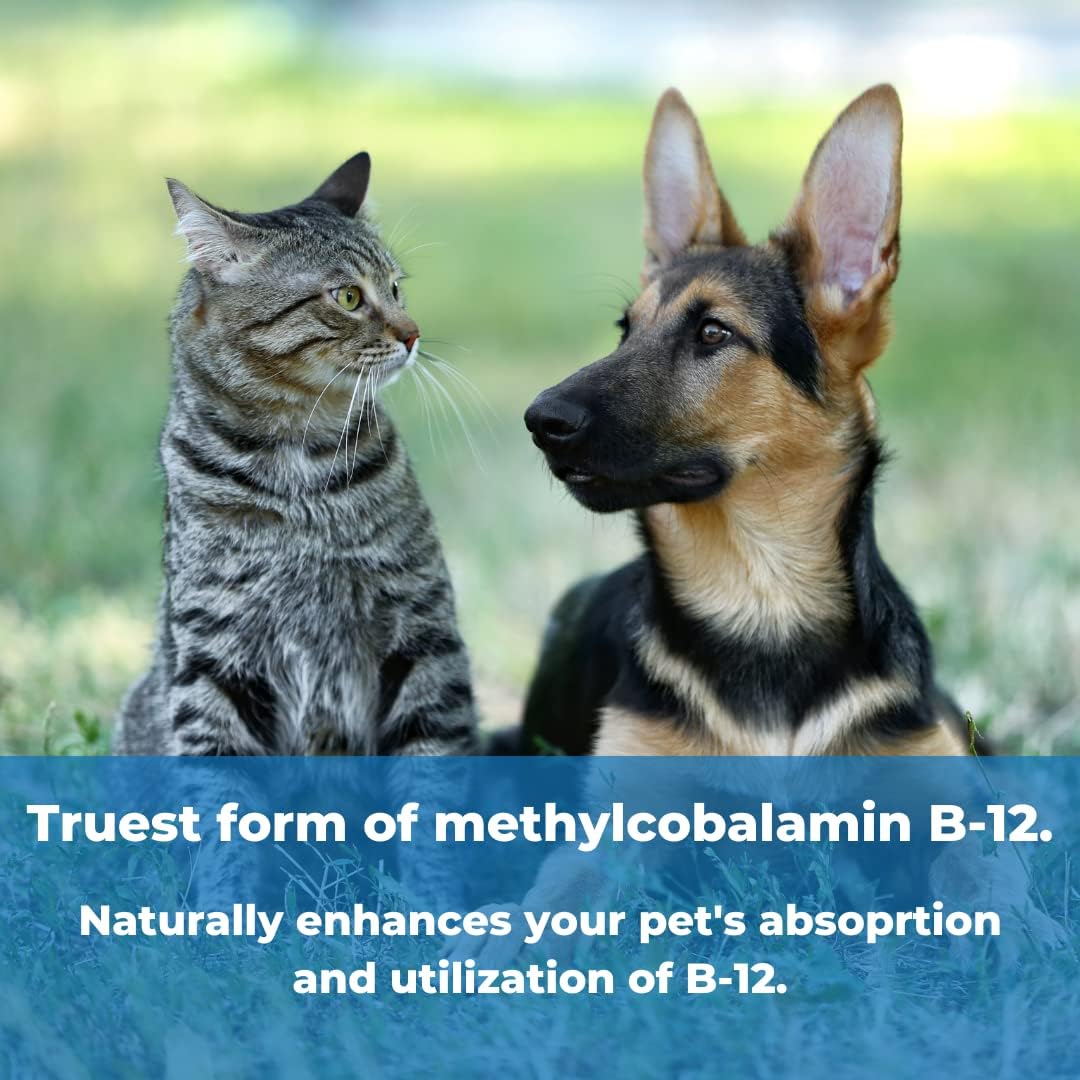 Pet Factor B-12 | Methylcobalamin Vitamin B12 for Dogs - 180 Capsules - görsel 4