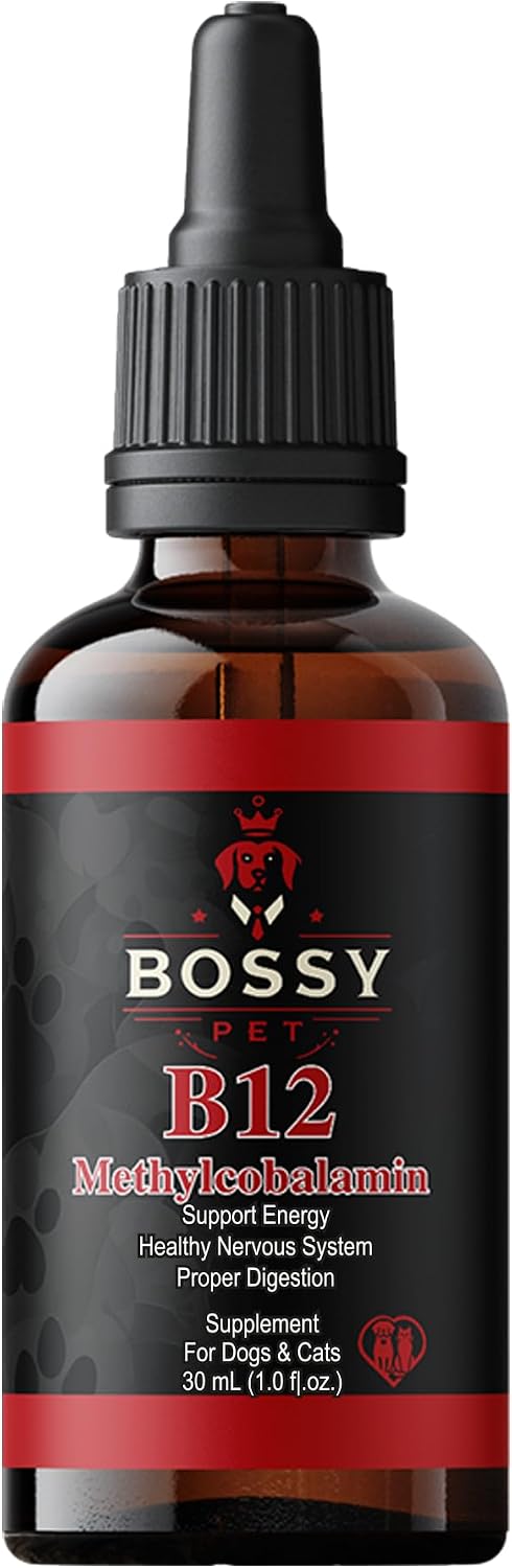 Bossy Pet Vitamin B12 Liquid Supplement for Dogs & Cats – Vet-Formulated Methylcobalamin Drops - görsel 1