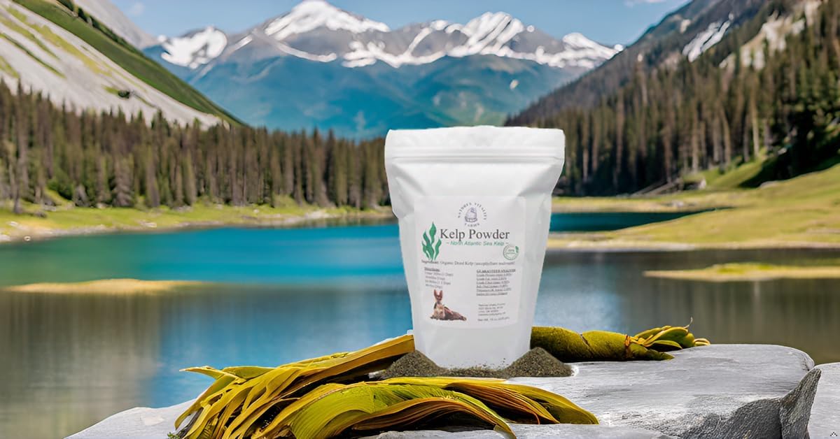 Kelp Powder for Dogs and Cats - Natural North Atlantic Sea Kelp - Vitamins, Minerals & Antioxidants - 15 oz (425 g) - görsel 4