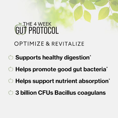 BODi Gut Health Supplements - 4 Week Gut Programme Revitalise & Optimise - Probiotic & Enzyme Blend for Digestive Health for Women & Men - 3 Billion CFUs Bacillus coagulans - Vegetable Capsules