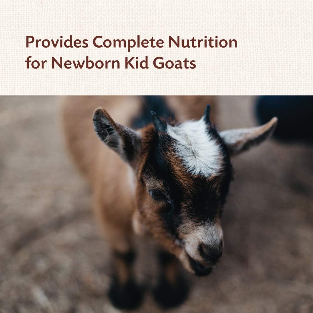 Manna Pro Goat Kid Colostrum Supplement - 8 oz - görsel 4