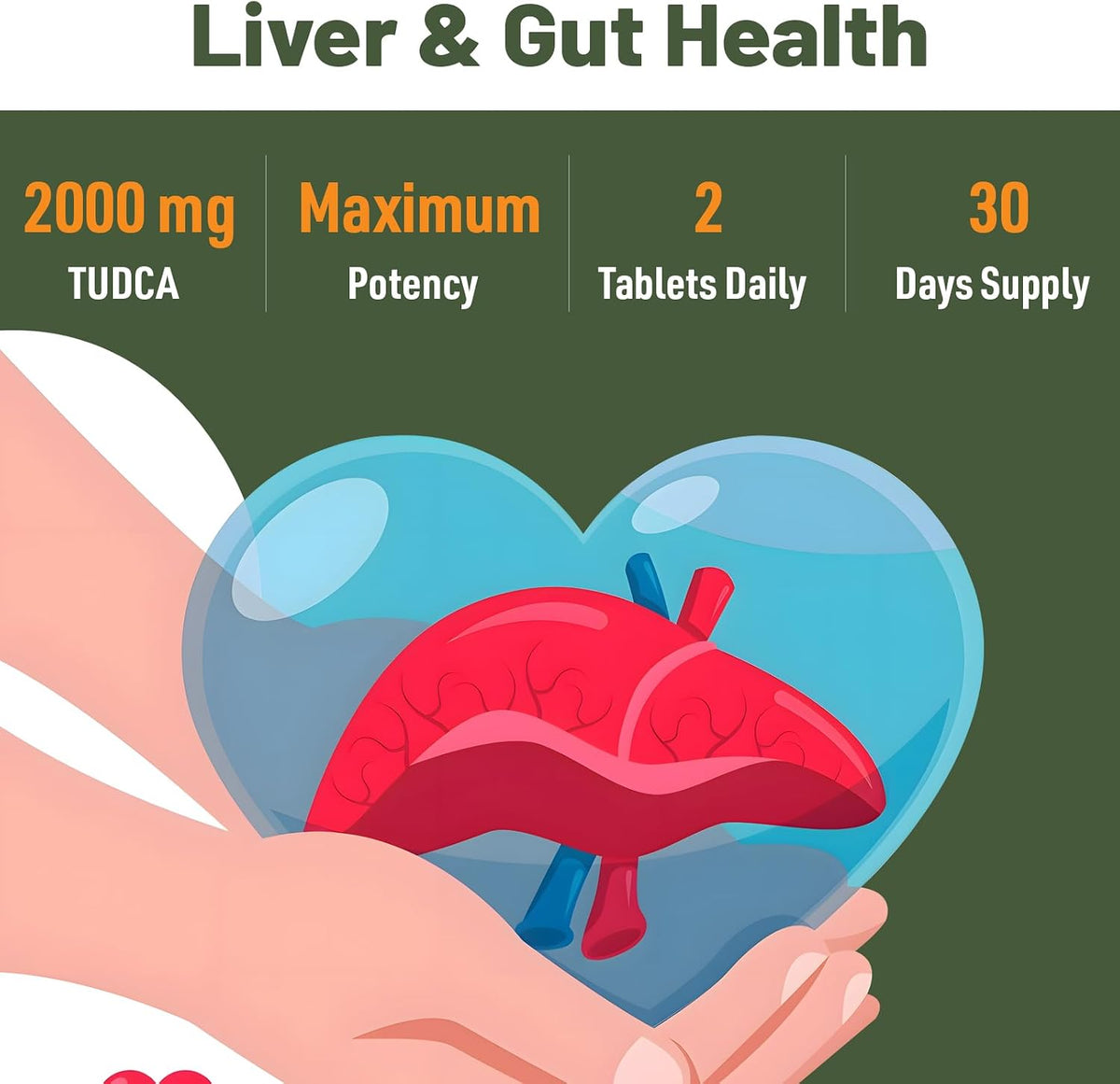 Canarata TUDCA 2000mg - Liver Support Bile Salts Supplement, 30 Tablets - görsel 4