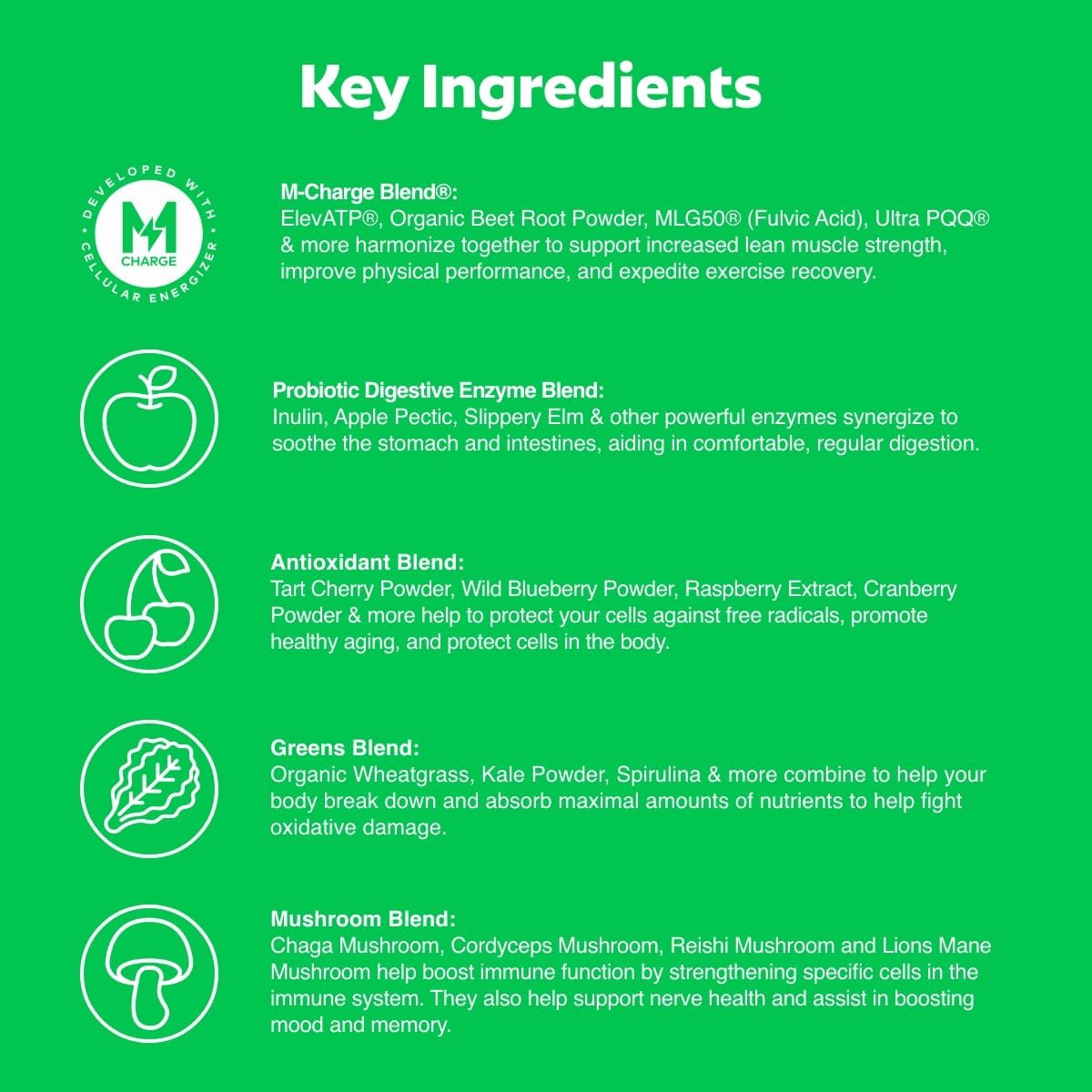 L'Evate You Vitality Daily Greens Powder – 30 Superfoods & 9 Greens (28 Servings) - görsel 3