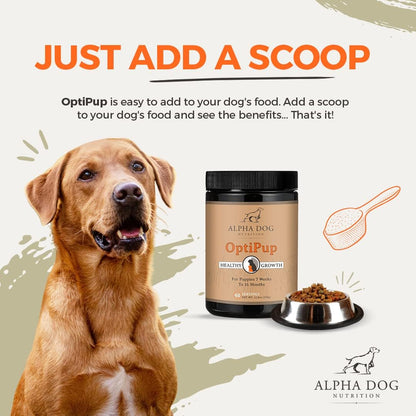 OptiPup All-in-1 Puppy Multivitamin – Contains 31 Superfoods Including Probiotics and Prebiotics for Digestive Support, Skin & Immune Health, and Optimum Growth (30 Servings)